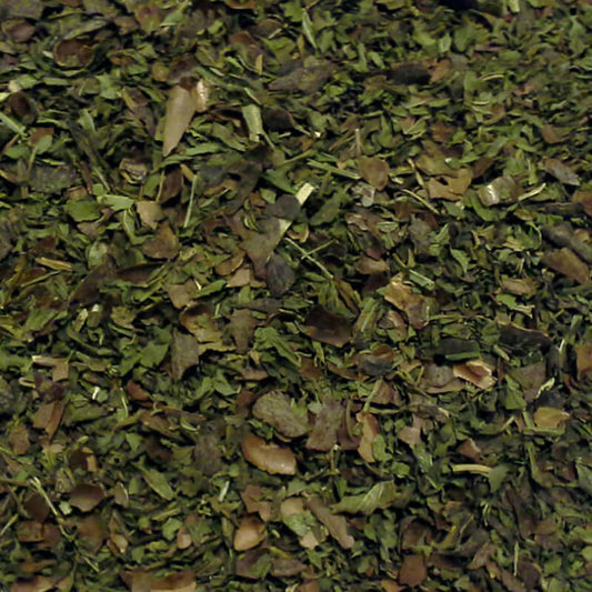 Chocolate Mint Økologisk