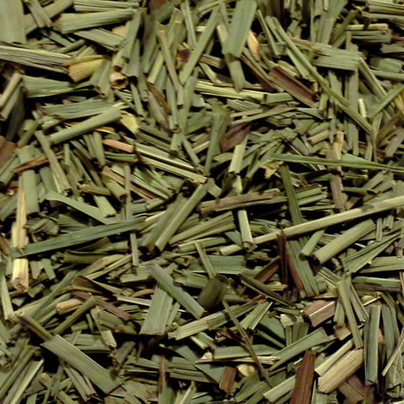 Lemongrass Økologisk