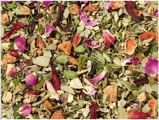 Moringa/ Eucalyptus Organic