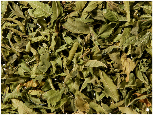 Citronmelisse Økologisk