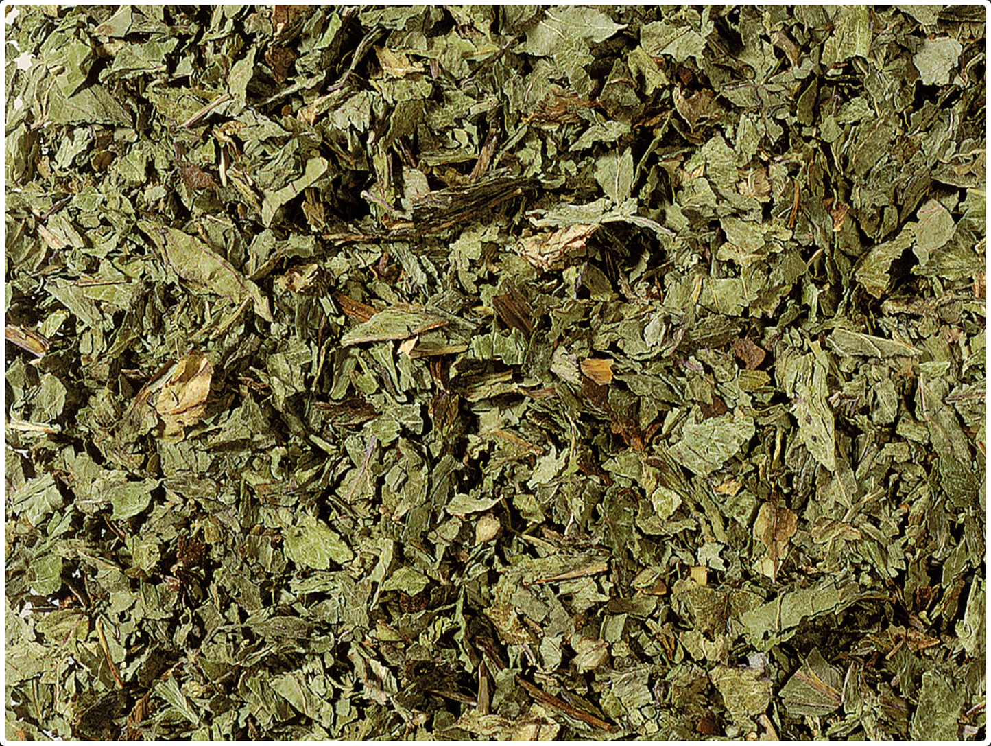 Herb Tea Peppermint