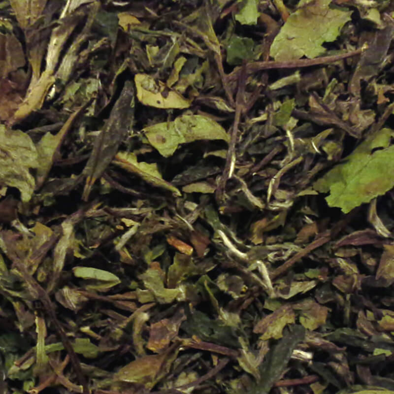 Bai Mu Dan Økologisk