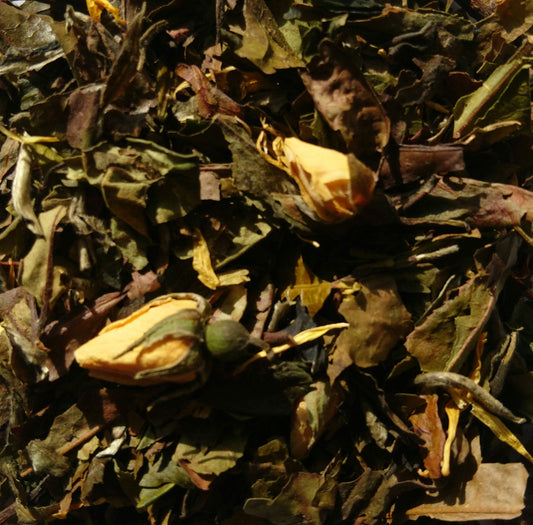 White quince