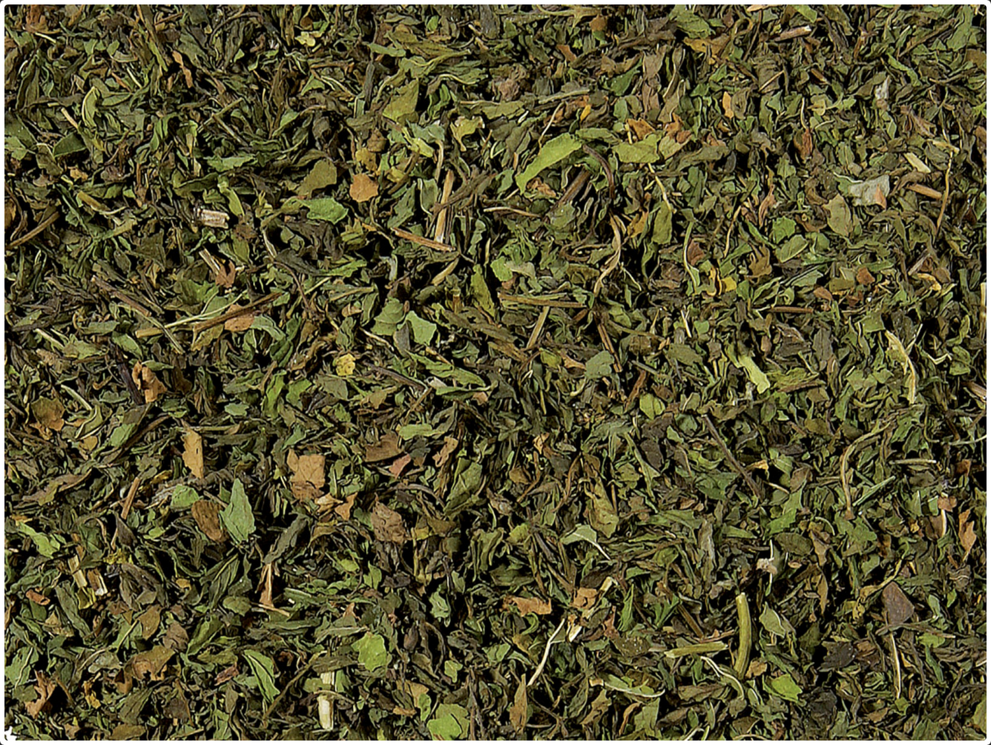 Spearmint