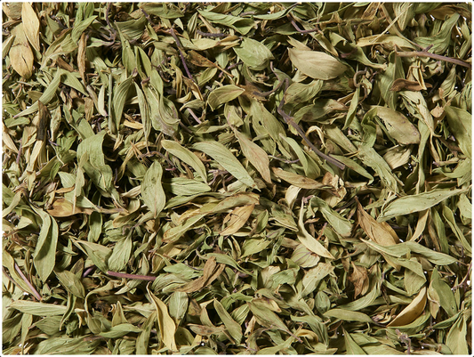 Organic Mountain Thyme