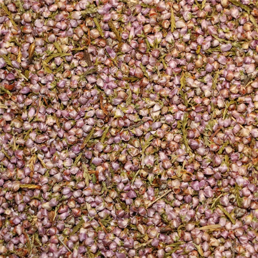 Lyngblomst