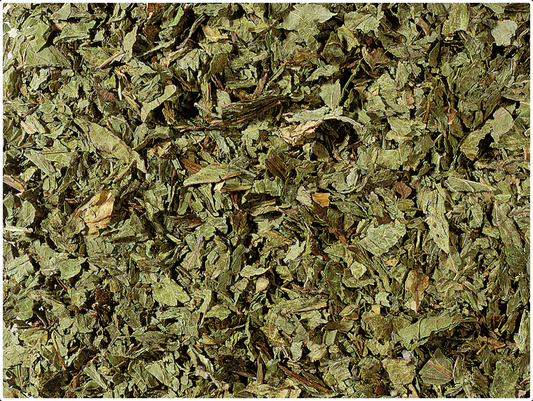 Herb Tea Peppermint