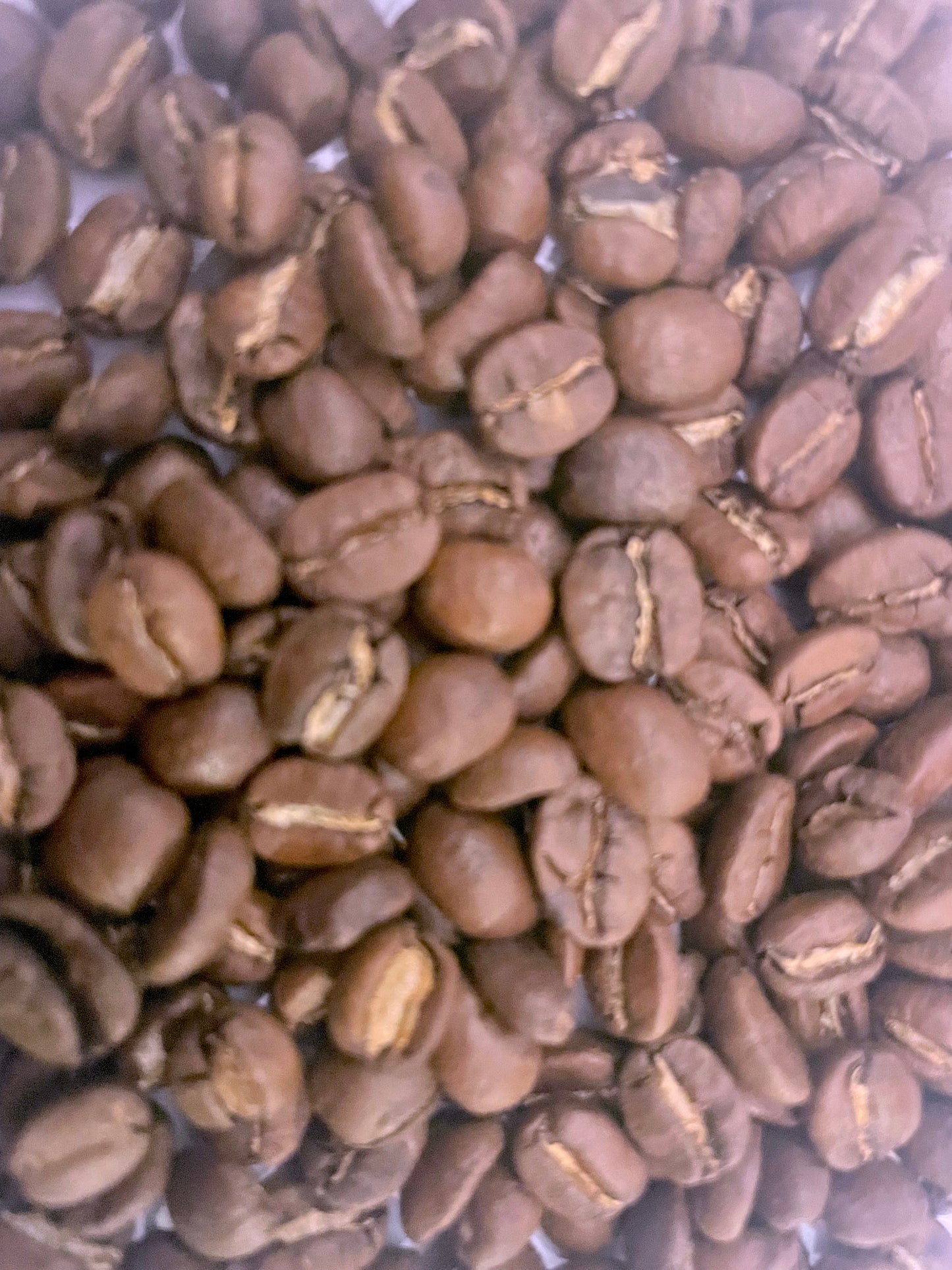 Thailand Pang Khon 250g