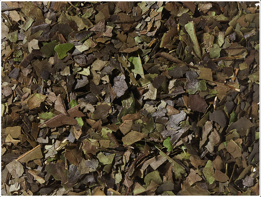 Organic Guayusa