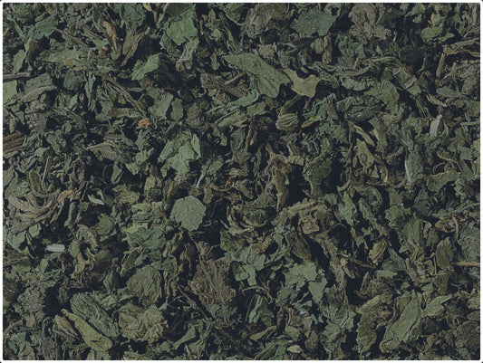 Nettle Coarse Cut Organic