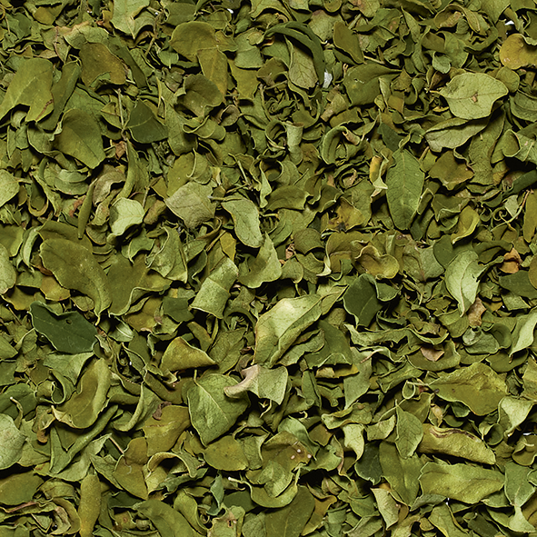 Moringa Leaves Organic